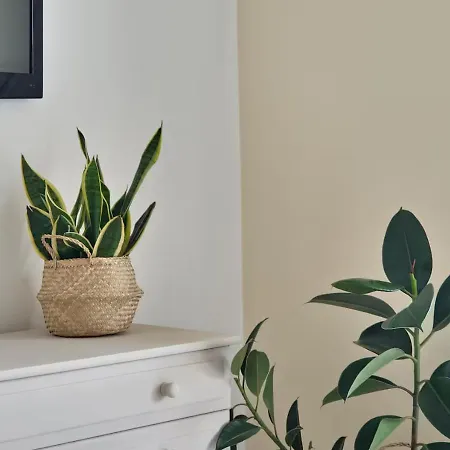 Lontza Studio's Peaceful And Secluded *